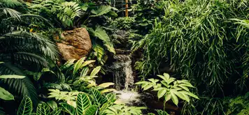 Image related to Conway National Park