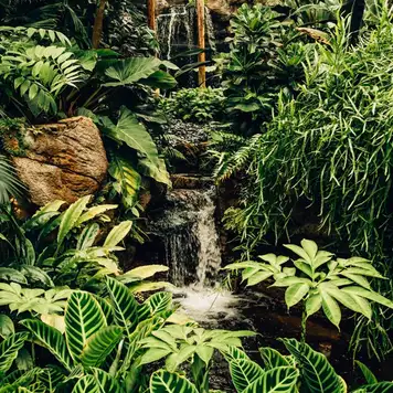 Image related to Conway National Park