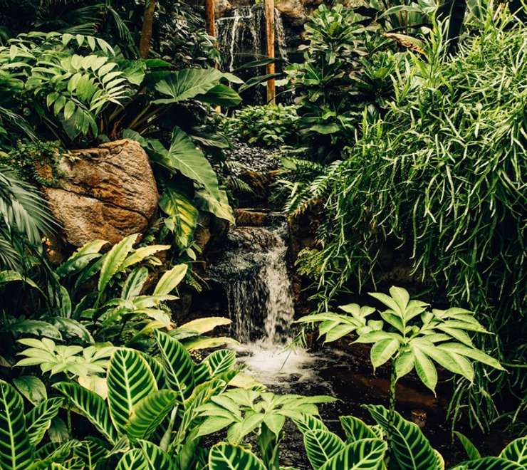 Conway National Park