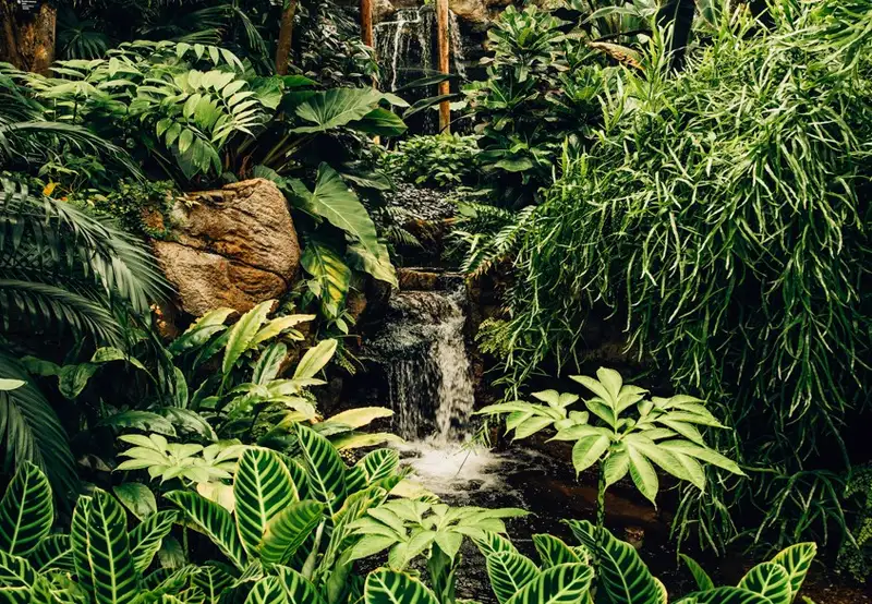 Image related to Conway National Park