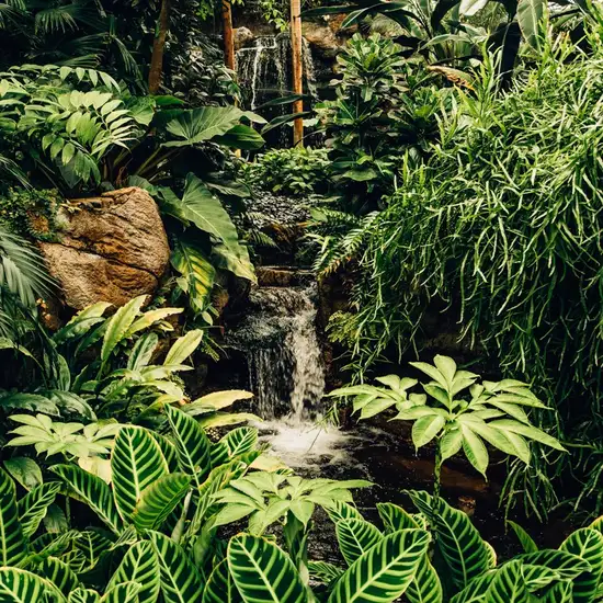 Image related to Conway National Park