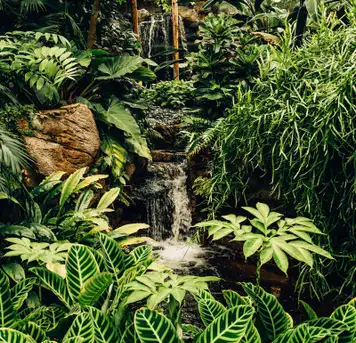 Image related to Conway National Park