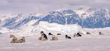 Image related to Sirmilik National Park