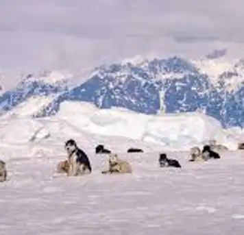 Image related to Sirmilik National Park