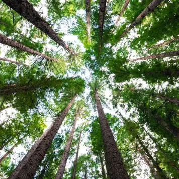 Image related to Image related to National Park