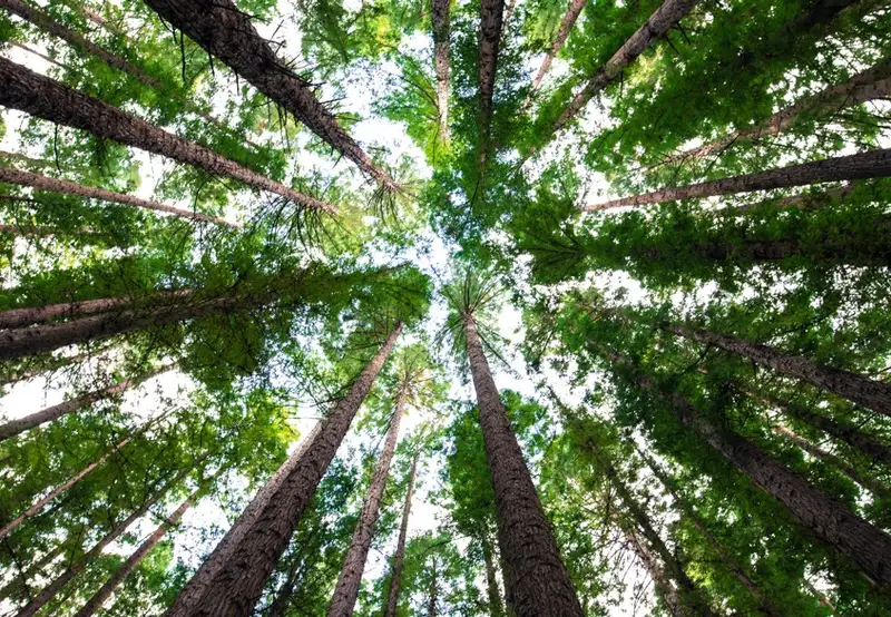 Image related to National Park