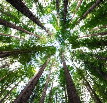 Image related to Image related to National Park