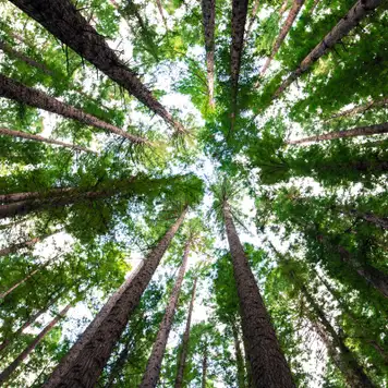 Image related to National Park