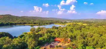 Image related to Ranthambore - 2 Nights stay