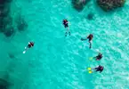 Scuba Diving  (Bora Bora)