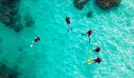 Image related to Scuba Diving 