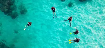 Image related to Image related to Scuba Diving 