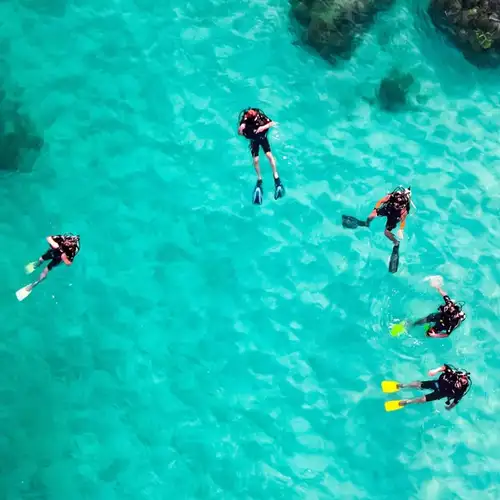 Image related to Scuba Diving 