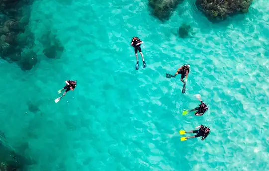 Image related to Scuba Diving 