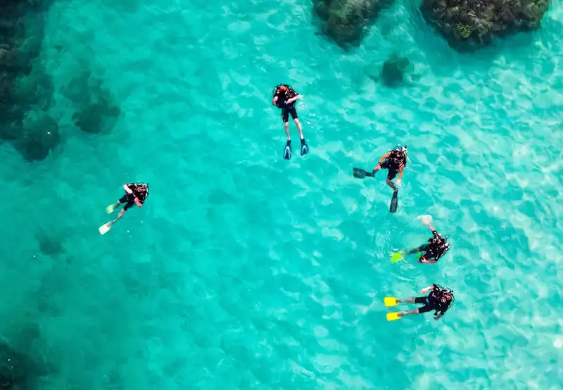 Scuba Diving 
