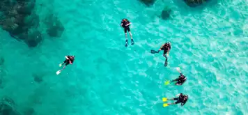 Image related to Scuba Diving 