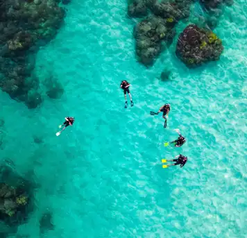 Image related to Scuba Diving 
