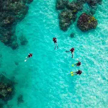 Image related to Scuba Diving 