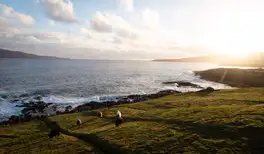 Image related to The Nordic House