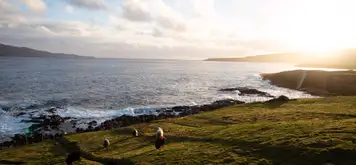 Image related to The Nordic House