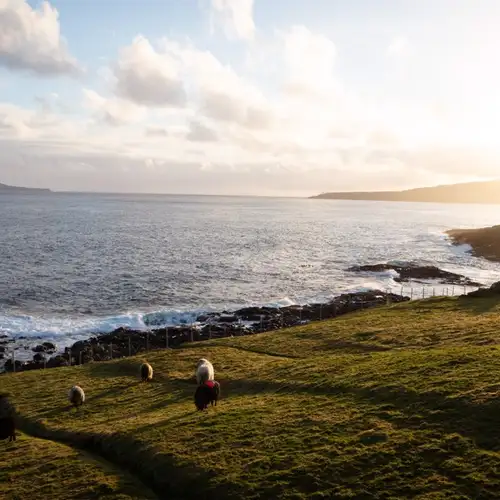 Image related to The Nordic House