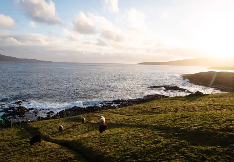 Image related to The Nordic House