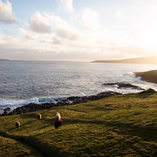 Image related to The Nordic House