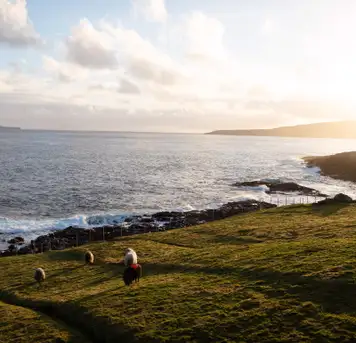 Image related to Image related to The Nordic House