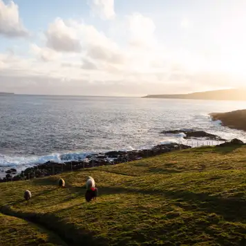 Image related to The Nordic House