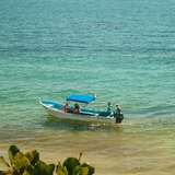 Image related to Panga Ride Along the Shoreline