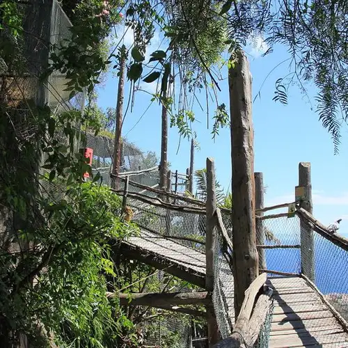 Image related to Maroparque Santa Cruz de la Palma Spain