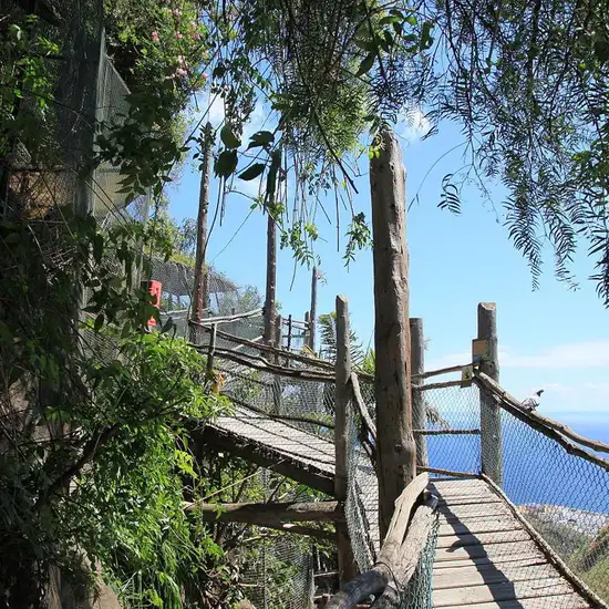 Image related to Maroparque Santa Cruz de la Palma Spain