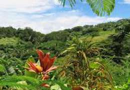 IgluCruise.Application.ViewModels.Shared.WebImageViewModel?.Description