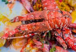 IgluCruise.Application.ViewModels.Shared.WebImageViewModel?.Description