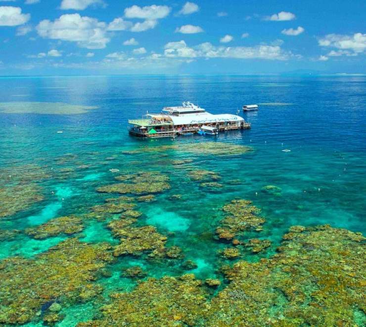 All-Weather Reef Magic Platform