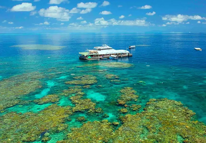 All-Weather Reef Magic Platform