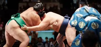 Image related to Fukuoka - Sumo Tournament