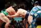 Fukuoka - Sumo Tournament