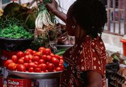 IgluCruise.Application.ViewModels.Shared.WebImageViewModel?.Description