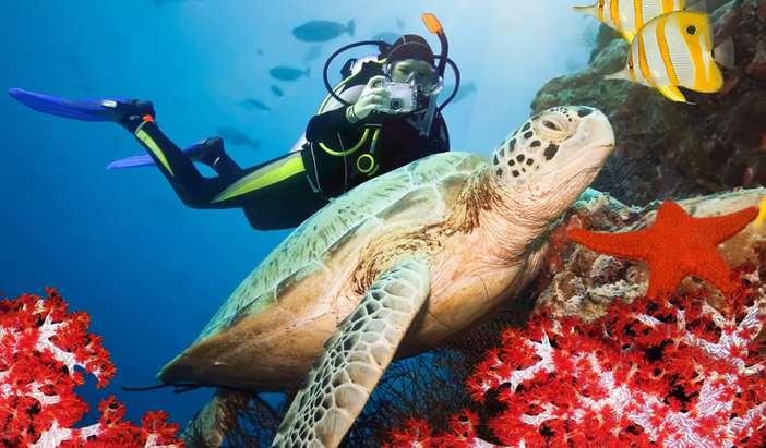 4-Night Cairns Land Tour - Southern World