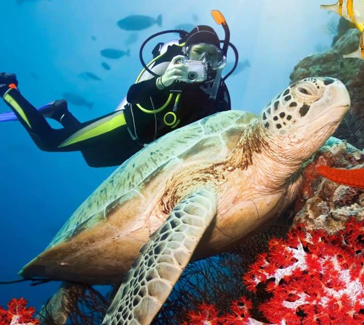 4-Night Cairns Land Tour - Southern World