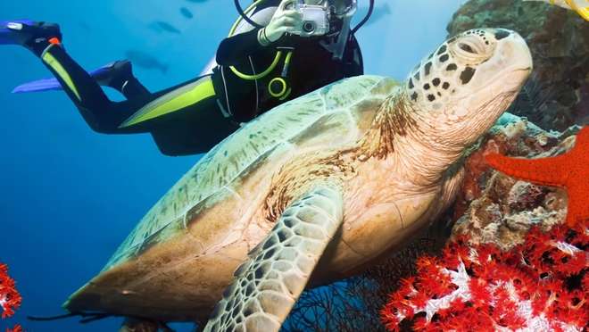 4-Night Cairns Land Tour - Southern World