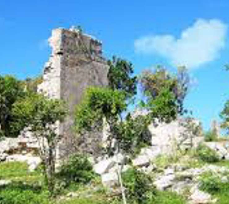 Cheshire Hall Plantation