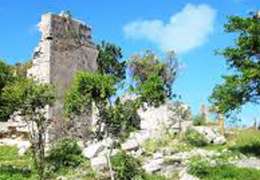 IgluCruise.Application.ViewModels.Shared.WebImageViewModel?.Description