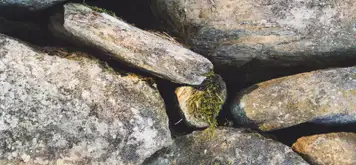 Image related to Anini Mara'e 