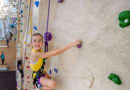 Rock Climbing Wall