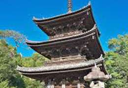 IgluCruise.Application.ViewModels.Shared.WebImageViewModel?.Description