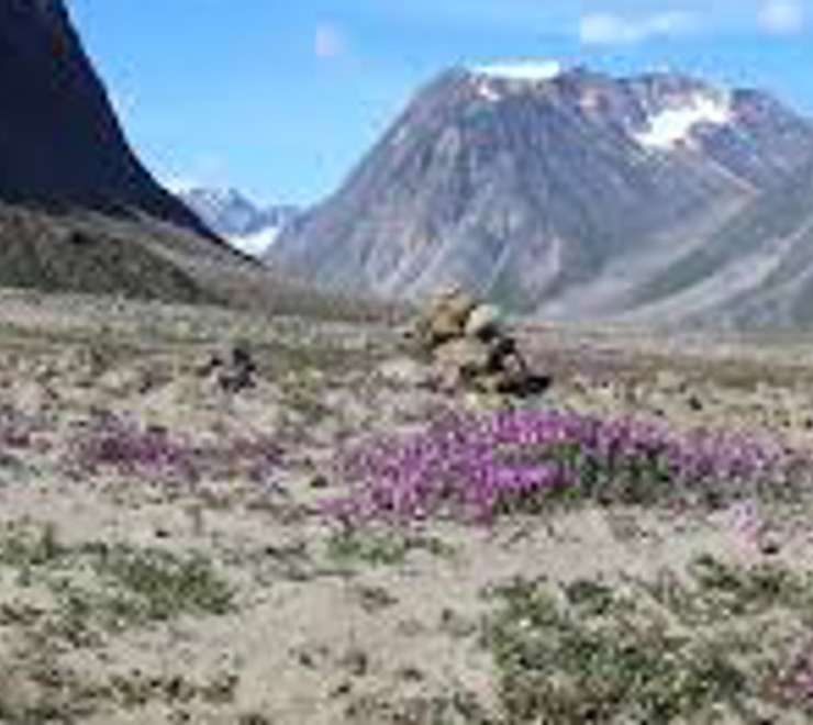 Explore Auyuittuq National Park
