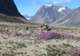 Explore Auyuittuq National Park
