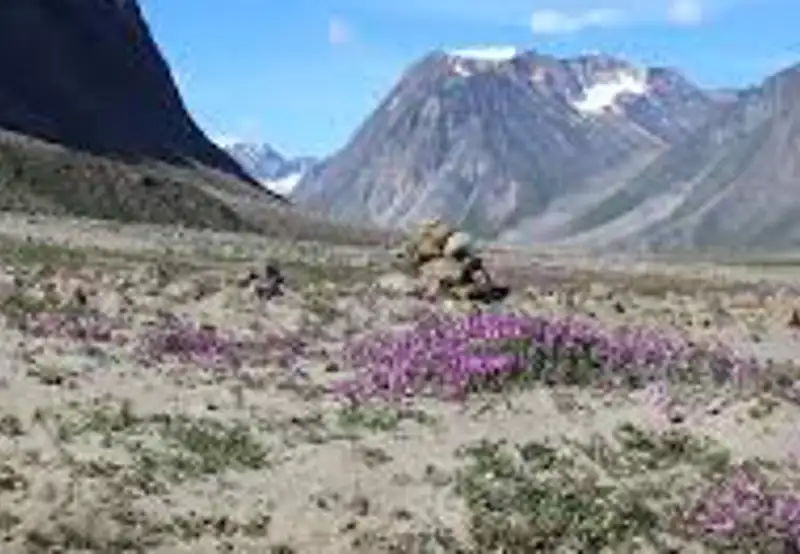 Explore Auyuittuq National Park